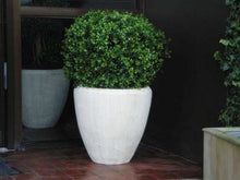 Load image into Gallery viewer, Boxwood Ball in Pot 75cm