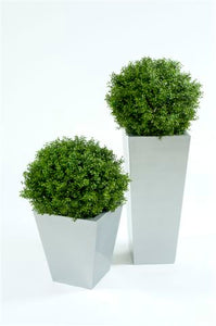 Boxwood Ball In Pot 50cm Oval