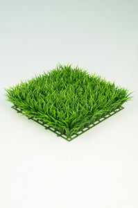 Young Grass Tile
