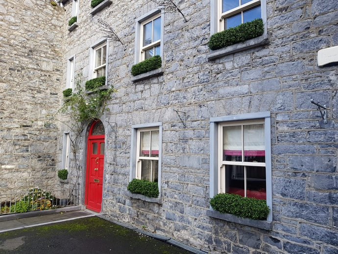 Boxwood hedging can “Soften” any building!