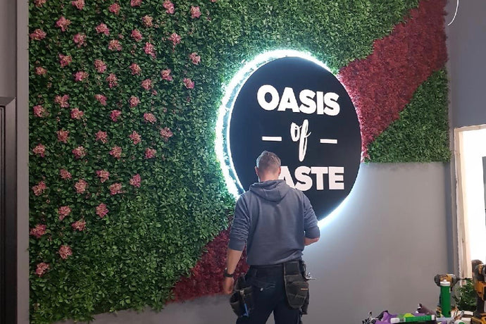 Oasis of Taste
