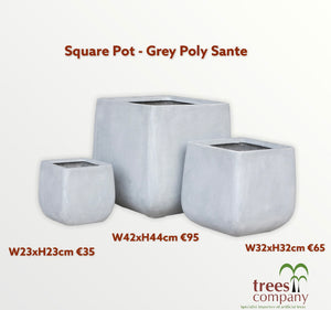 Square Pot - Grey Poly Sante