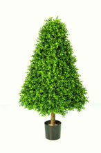 Load image into Gallery viewer, Boxwood Pyramid 110cm
