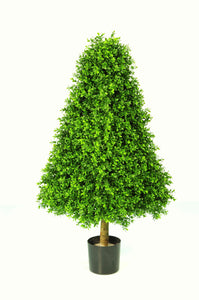 Boxwood Pyramid 110cm