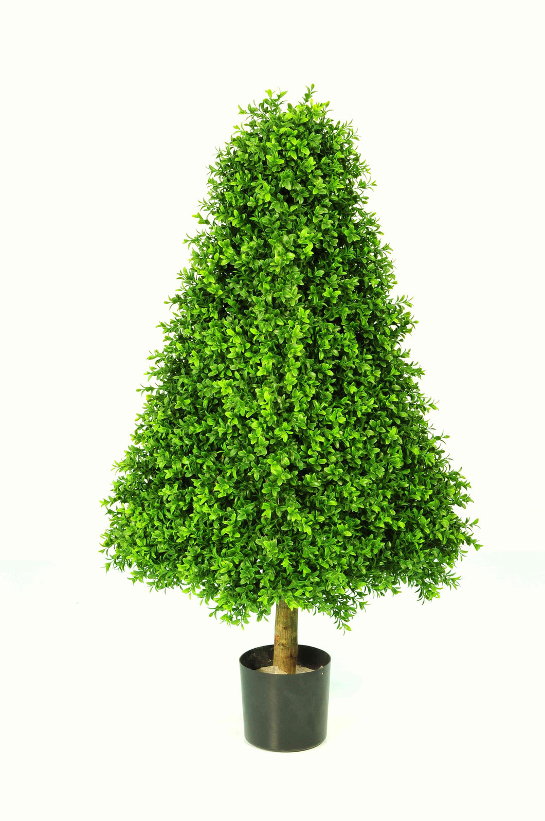 Boxwood Pyramid 110cm