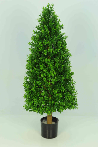 Boxwood Tower 2.5ft
