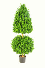 Load image into Gallery viewer, Boxwood A Ball 3ft