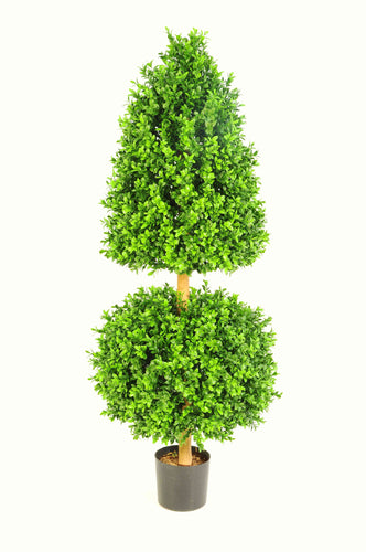 Boxwood A Ball 3ft