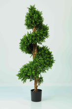 Load image into Gallery viewer, Boxwood Spiral 4ft