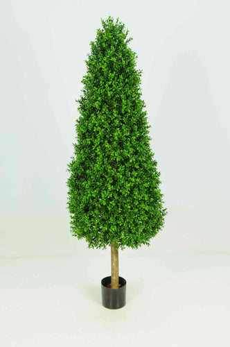 Boxwood Tower 5ft