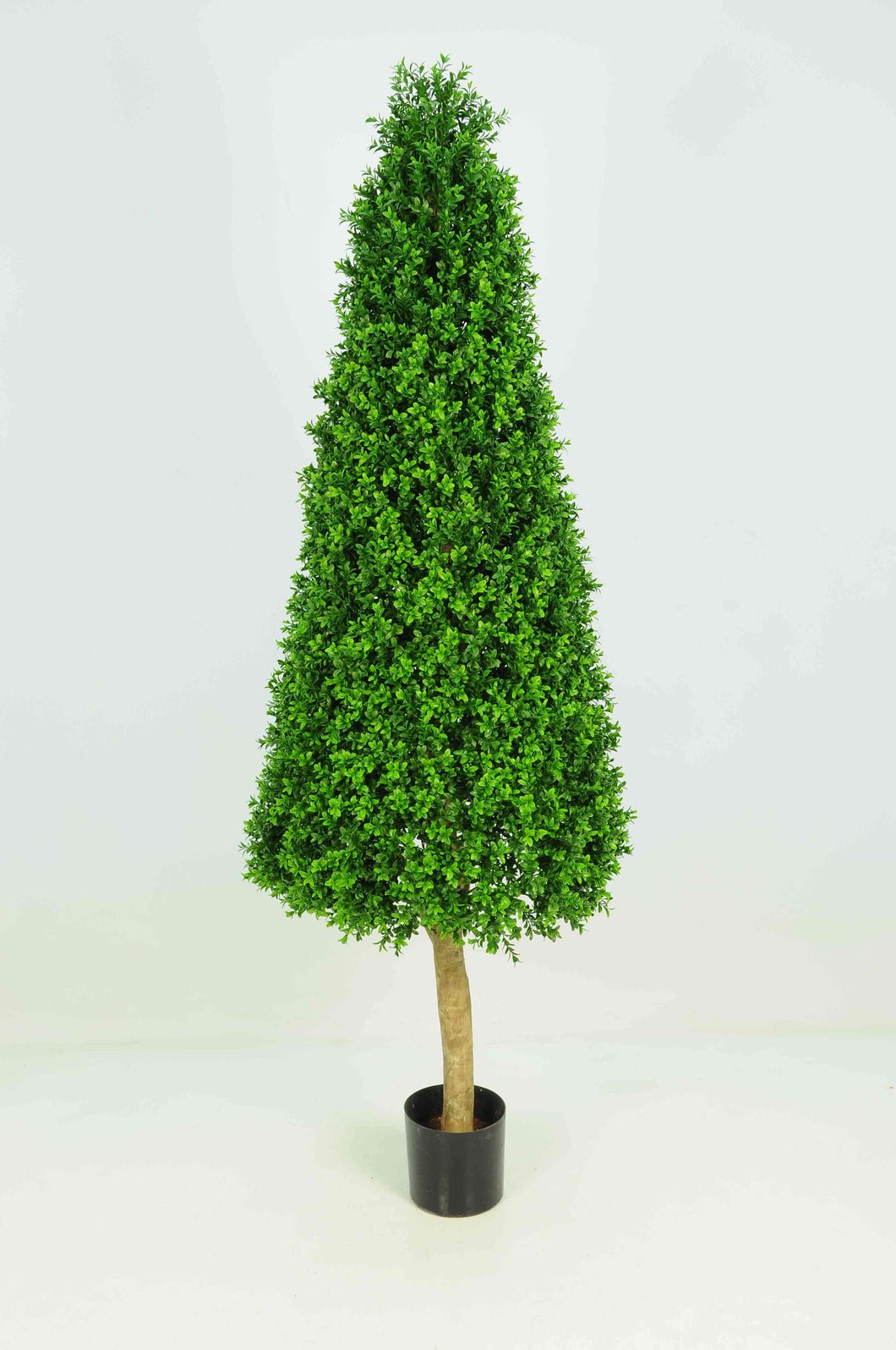 Boxwood Tower 6ft