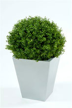 Load image into Gallery viewer, Boxwood Ball In Pot 50cm Oval