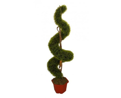 Affection Grass Spiral Artificial Tree