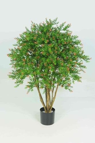 Red Day Leaf Tree 3ft