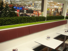 Load image into Gallery viewer, Boxwood Hedge Small