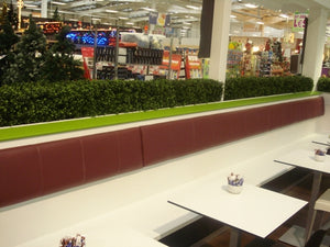 Boxwood Hedge Small