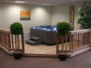 Boxwood 1 Ball 4ft