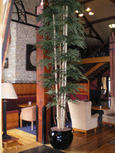 Load image into Gallery viewer, Bamboo Giant