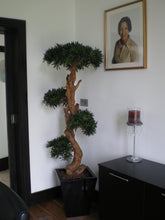Load image into Gallery viewer, Bonsai Wood Tree