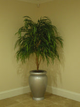 Load image into Gallery viewer, Chinese Willow