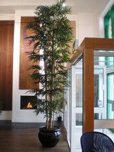 Load image into Gallery viewer, Bamboo Giant