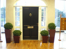Load image into Gallery viewer, Boxwood Ball In Pot 50cm Oval