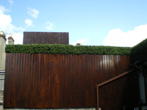 Boxwood Tile