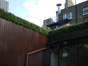 Boxwood Tile