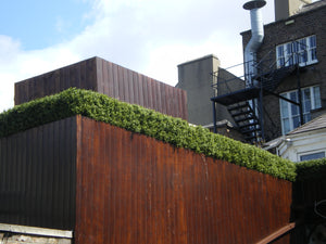 Boxwood Tile