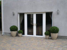 Load image into Gallery viewer, Boxwood Ball in Pot 75cm