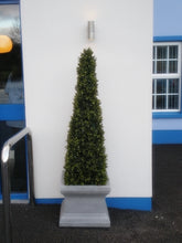 Load image into Gallery viewer, Boxwood Spire 125cm