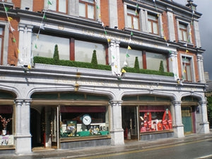 Boxwood Hedge Medium