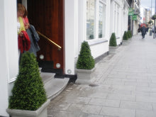 Load image into Gallery viewer, Boxwood Pyramid 110cm