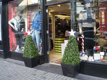 Load image into Gallery viewer, Boxwood Pyramid 110cm