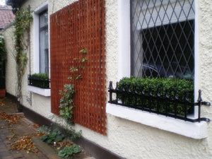 Boxwood Hedge Small