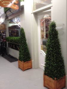 Boxwood Spire 125cm