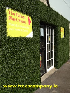 Boxwood Tile
