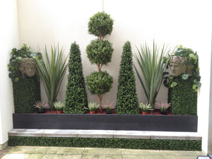 Pandanus Base Plant