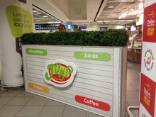 Load image into Gallery viewer, Boxwood Hedge Small