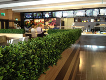 Load image into Gallery viewer, Boxwood Hedge Small
