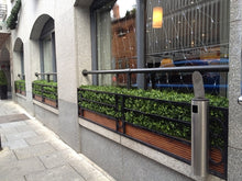 Load image into Gallery viewer, Boxwood Hedge Medium