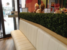Load image into Gallery viewer, Boxwood Hedge Small