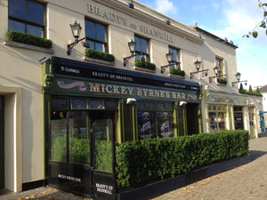 Boxwood Hedge Large
