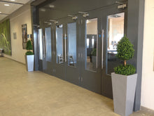 Load image into Gallery viewer, Boxwood A Ball 3ft