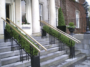 Boxwood Hedge Medium