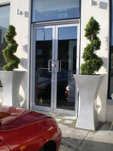 Load image into Gallery viewer, Boxwood Spiral 4ft