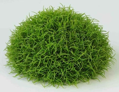 Hair Half Ball
