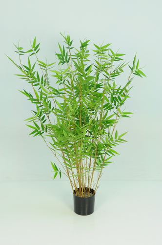 Bamboo Oriental