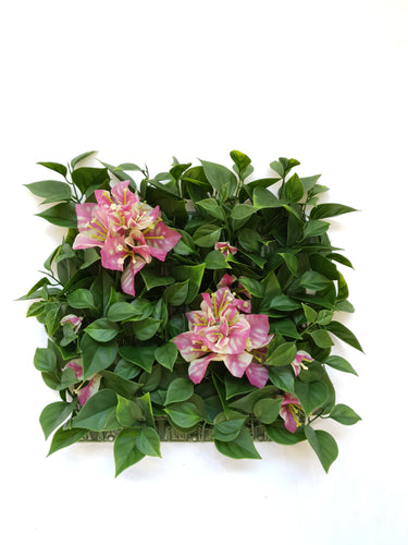Bougainvilla  with Flower Tile