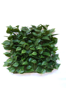 Bougainvilla Tile